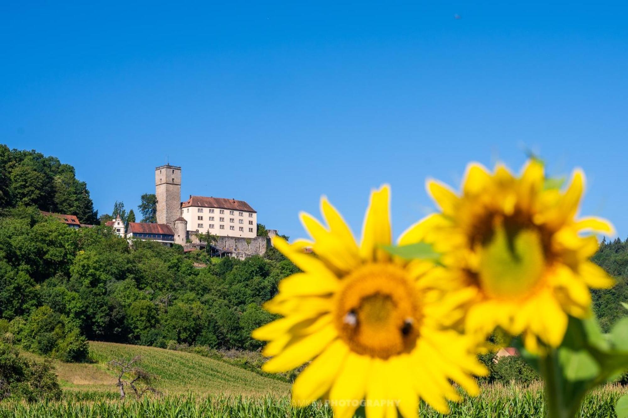 Wohnen Auf Der Ritterburg Villa Haßmersheim Екстериор снимка
