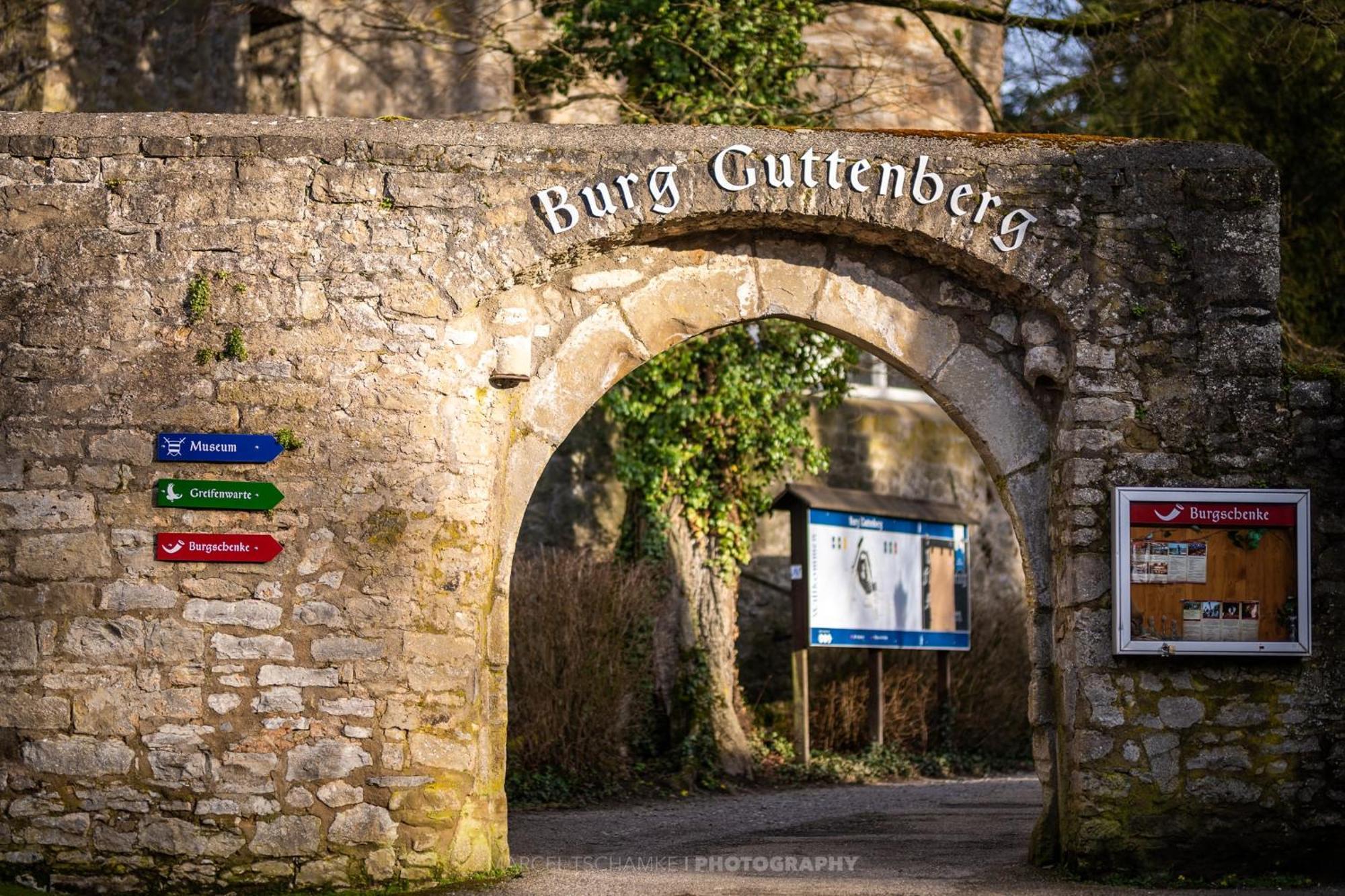 Wohnen Auf Der Ritterburg Villa Haßmersheim Екстериор снимка